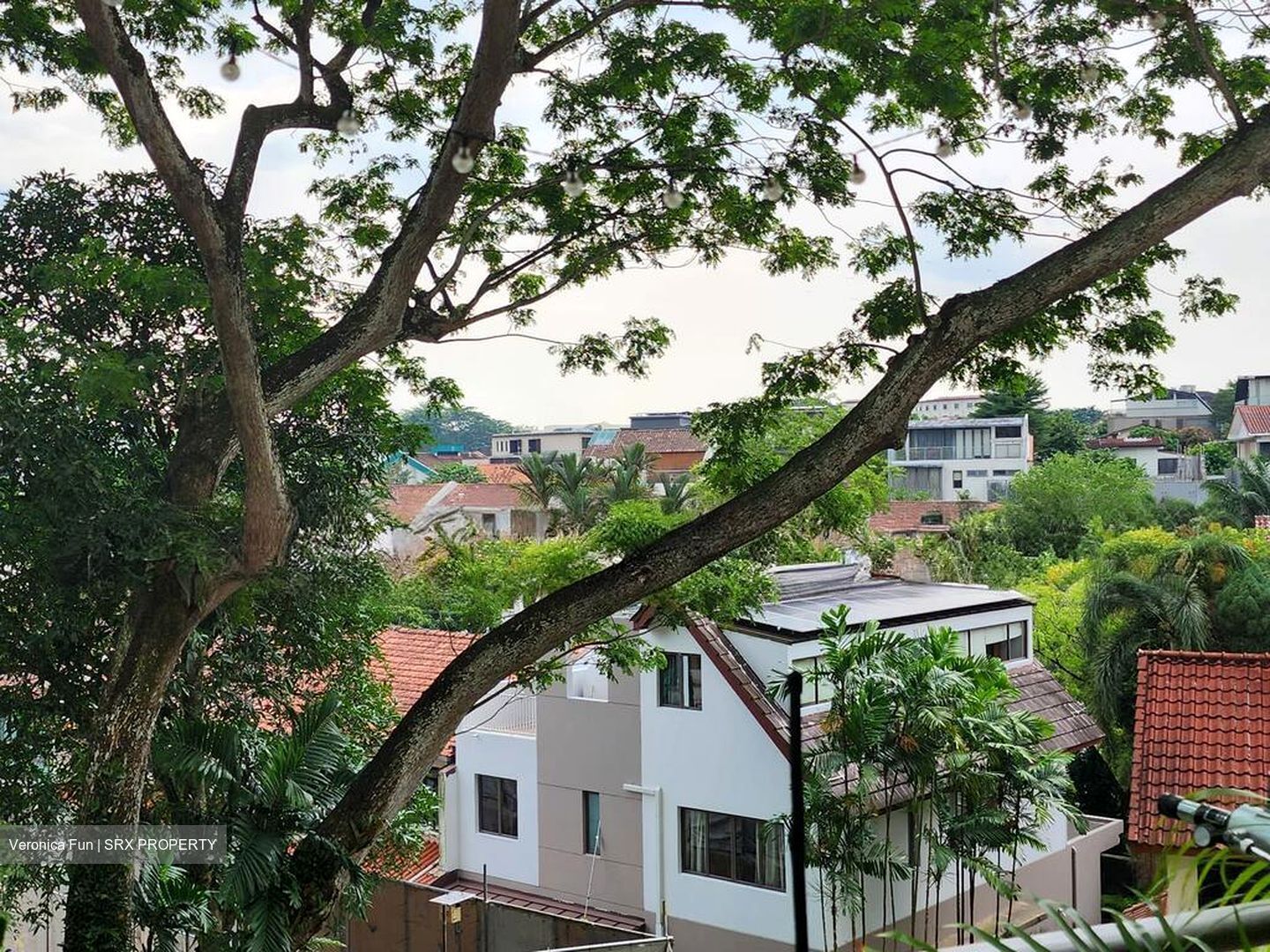 Hillcrest Arcadia (D11), Condominium #525393001
